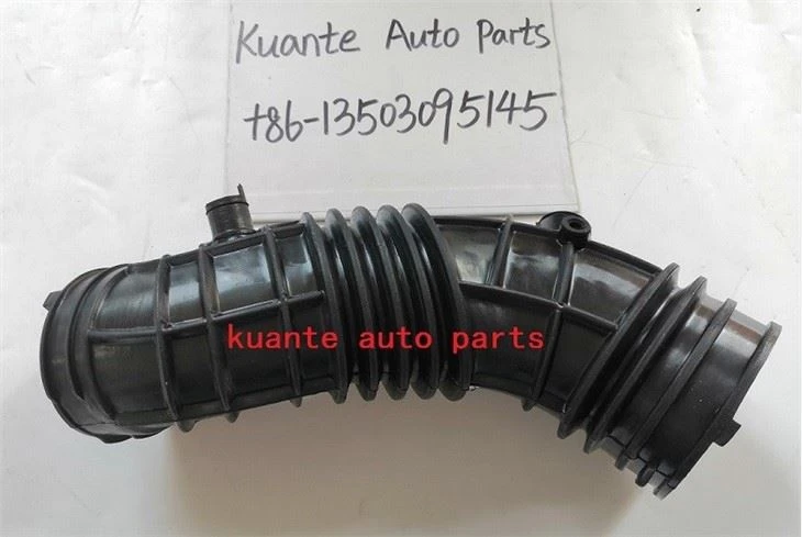 Air cleaner hose 17228R40A00